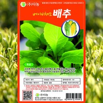 베이비배추 씨앗 베이비배추 씨 종자 10g, 1개