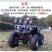 ATV 4륜오토바이 농업용운반차 250cc 300cc 사륜바이크 농업용팜트럭, 리틀 불 패키지 2