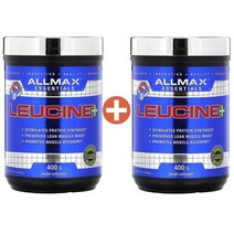1+1 올맥스 류신 5000mg 아미노산 단백질 파우더 분말 400g 운동전후 부스트 업 운동전 부스터, 단품