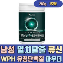 남성 멸치탈출 류신 WPH 유청 단백질 파우더 음료 비타민 B2 B6 철분 엽산 산화아연 우먼 여성 청소년 운동후 성장기 프리미엄 마시는 먹는 씹어먹는 많은음식 하루권장량 프로틴