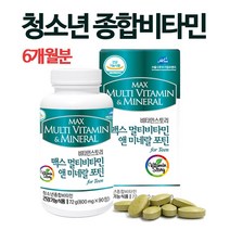 청소년 멀티비타민 앤 미네랄 중학생 고등학생 종합비타민 영양제 성장기 어린이 고3 수험생 10대 비타민B군 비타민C 초유분말 홍삼농축액 유산균 뼈건강 보충제 학생 추천 대용량, howoon_2개
