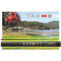 천류 설화수스페셜3 32~40칸 민물낚시대 붕어낚시대, 36