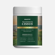셀렉트핏 시서스가루 50배 농축 추출물 시저스 300g, 1개, 셀렉트핏 300g 2+2