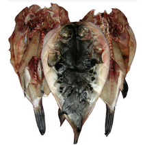 말린 복어 반건조 복어 500g 1kg 자주복 참복 건조복어 건복 복어탕 복어조림 복어매운탕, 반건조 참복 500g(중복)(2-3마리내외), 1개