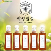 하성벌꿀세트 북부농협 1등급 하성 벌꿀 5병, 1