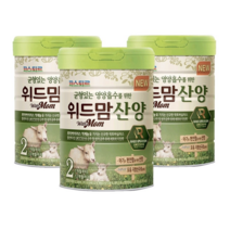 파스퇴르 균형있는 영양흡수를 위한 위드맘 산양 2단계 750g 3캔