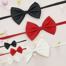 TYDL 컬러 보타이