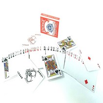 카드마술 선택한 카드를 맞추는 트릭카드 스트리퍼덱