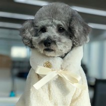 강아지 목도리 밍크트리밍 (블랙) 강아지넥워머 강아지넥스카프 귀여운강아지패션 반려동물목걸이 넥스카프, L