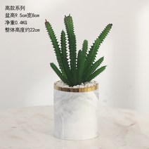 선인장 조화 화분 사무실 책상 거실 침실 테이블 인테리어 실크플라워 미니 화분, 키 큰 화분 J
