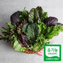 [유기농 인증] 당일수확 모듬 쌈채소, 쌈채소 600g, 1개
