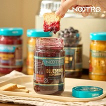 누트로 스테비아 블루베리잼 300g, 없음