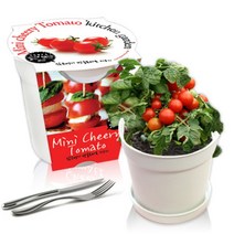 [천삼백케이] [농업회사법인 세경팜 주식회사] 세경팜 컬러키친가든 앉은뱅이방울토마토 식물키우기 텃밭가꾸기, 그레이, 방울토마토