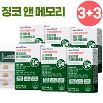 식약처 인증 은행잎 추출물 프리미엄 징코 엔 메모리 기억력 혈행 개선 뇌 두뇌 건강 영양제, 6개, 30정