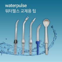 워터펄스 교체용 노즐팁 워터픽 구강세정기, 프라그제거팁