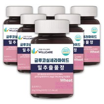 윌케어 글루코실 세라 마이드 밀추출물정 티크 세라마이드 500mg x 60정, 6병