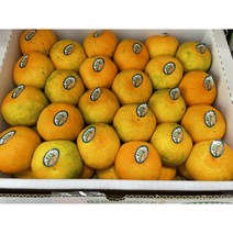 제주 명품 불로초 귤 3kg 한박스, 3kg한박스