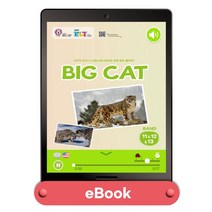 리딩앤 퓨처팩 Big Cat Band11/12/13 (전84권), 리딩앤 퓨처팩 Big Cat Band11/12/13.., EBS 편집부(저),EBS한국교육방송공사, EBS한국교육방송공사