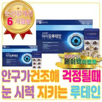안구건조 눈 영양제 루테인 뉴테인 LUTEIN 시력 보호 침침 부심 피로 증 좋아지는 실 핏줄 건조 할때 피로 푸는 법 안구건조 녹차 빌베리 결명자 효능 가루 잎 추출물 시림 터짐