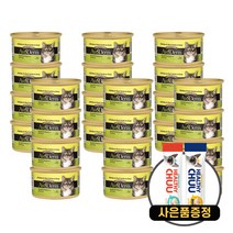 아보덤 고양이 그레인프리 캣 주식캔 85g 24개 + 증정 고양이츄르, 오리&치킨 24개