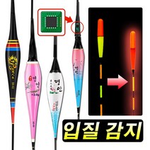 민물 옥내림찌 양어장찌 튜브찌 좌대 낚시 가방 의자 봉돌 받침대 받침틀 찌맞춤통 찌통 수제찌 중층찌, 명인스마트전자찌XD06