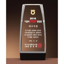 크리스탈 상패 GM0595 추대패 표창패 감사패 공로패, 단품