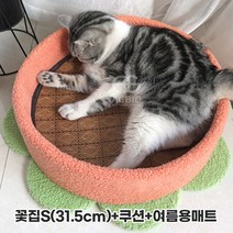 [행운이네] 플라워 고양이 캣타워 꽃 인테리어 소형 3단 고양이집, 꽃집S+쿠션+여름용매트