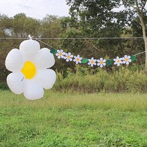 소형 중형 대형 데이지 풍선 가랜드 돌잔치 백일 생일 아이 생일 파티 세트, 18인치