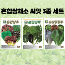 [대만양상추] 혼합 쌈채소 씨앗 3종 세트 상추 쌈채 양상추 채소씨앗 주말농장 텃밭 홈가드닝