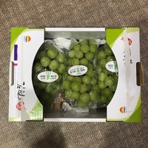 달콤한 김천 샤인머스켓1k(2~3수) 2k(4수) 2k(5수), 1박스, 샤인머스켓1kg(2~3수)