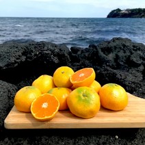 귤사랑 제주 감귤 서귀포 직배송 귤 소과 로얄과 대과 2.5kg 3kg 5kg 10kg