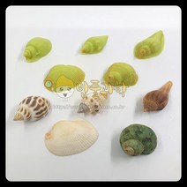 (ART)화석 모형 만들기 (조개) (1인용)