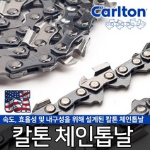 미제 정품 칼톤 체인톱날 전기톱날 엔진톱날 가이드바, 6-옵션01 대만제 안전 안경 162