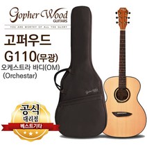 g110입문용고퍼우드통기타 추천 BEST 인기 TOP 500