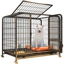 강아지케이지 철제 울타리 중형견 실내 철망