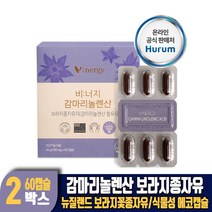 감마리놀렌산 보라지유 보라지오일 보라지꽃 종자유 식물성 에코캡슐 건강기능식품, 2개, 60캡슐