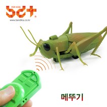 반디 메뚜기 RC 무선조종 동물로봇 곤충 장난감, 단품없음