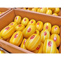 허니삼구 특품 아삭아삭 꿀 참외 2.5kg내외 5kg내외 10kg내외, 1박스, 참외10KG내외(37-55과)로얄과