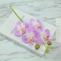 화분연출 4개꽃 인조 난꽃 소형 호접란 꽃줄기_1p, 화이트