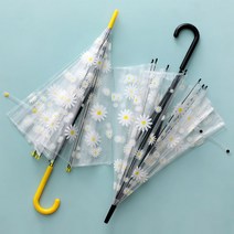 기라로쉬 60 데이지 투명 비닐 장우산 2개