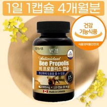 식약처 식약청 인증 프리미엄 포르폴리스 PX 프로폴리스 경질 캡슐 캅셀 추출물 정품 환, 상세페이지 참조, 상세페이지 참조