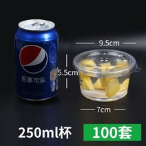 플라스틱밀폐용기 .국담기 용기 테이크아웃 포장 국그릇 뚜껑포함 밀봉 산모 도시락 마멀레이드 아이디어 케이스 300m, T13-P14-250ml광배+펀칭구멍없음 평평한뚜껑 1