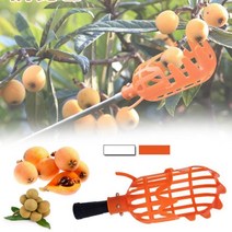 Bayberry용 고지 과일 피커 베리 피킹 머신용 수확기 사다리 필요 없음 밀밭 과일 따기, 하얀