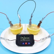 LED 과일전지 과학수업실험 1인용 방과후수업 집콕놀이 만들기세트 과학놀이 사이언스