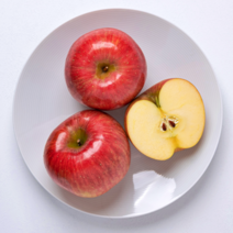 사과 유명한 곳 꿀 당도 충주 부사 사과 5kg 선물세트, 부사사과 5kg 14-17과