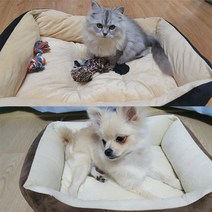 애견쿠션 사각방석 침대 뼈다귀, 브라운, 중형