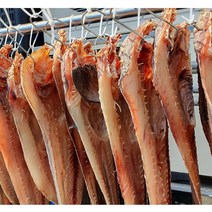 겨울철 생선 여수 건조 물메기 50cm 내외 2마리, 5마리