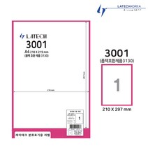 레이테크 폼텍호환 A4 라벨지 전산라벨/바코드용/주소용/물류관리용/분류표기용/우편용/화일용 다용도 라벨 용지, 1칸(LTP-2110), 다용도 100매