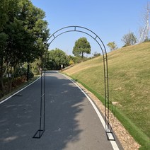 야외 포도 파란색 눈송이 장미 아치 형 브래킷 안뜰, 보통, 파이프 직경 13mm  베이스 블랙