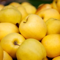 [딜맛] 골드 황금사과 일반용(망포장) 중과 3kg(11~13과), 단품